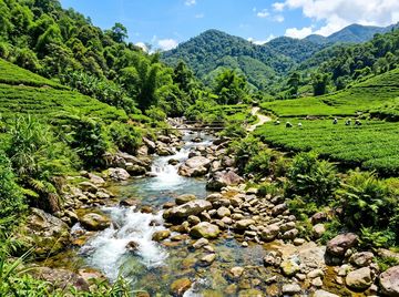 Ảnh đẹp check-in La Bằng